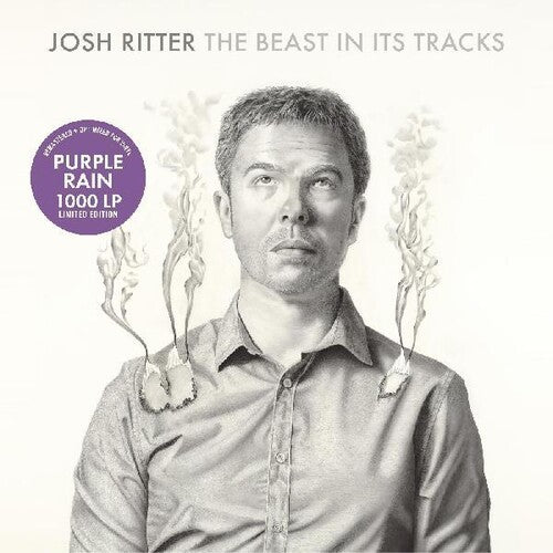 Josh Ritter - The Beast in Its Tracks { vinyl }