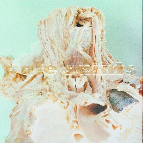 Pale Saints - In Ribbons { vinyl }
