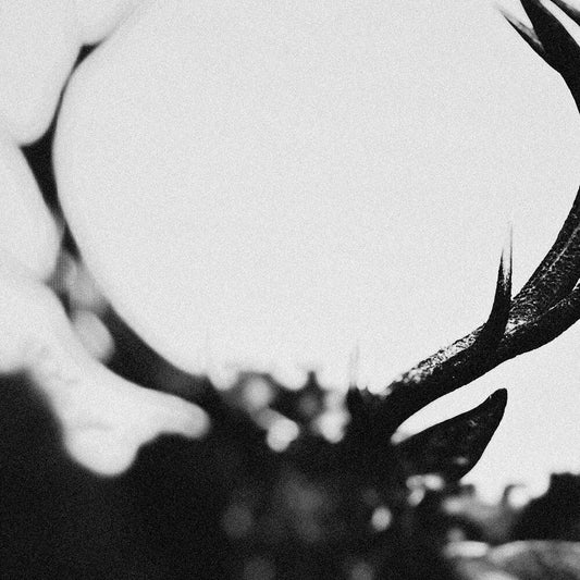 Ihsahn - Ihsahn (Orchestral Version)