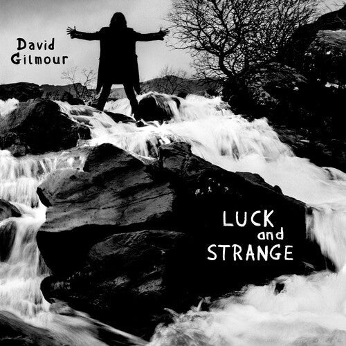 David Gilmour - Luck And Strange { vinyl }