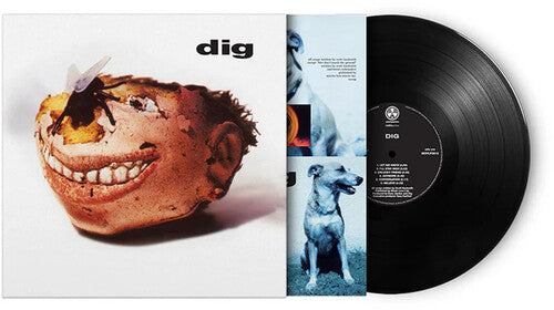 Directions in Groove - Dig - 180-Gram Black Vinyl
