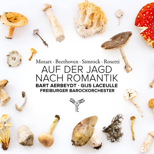 Freiburger Barockorchester - Auf Der Jagd Nach Romantik { vinyl }