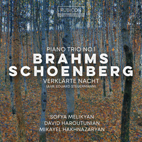 Sofia Melikyan - Brahms: Piano Trio No.1; Schoenberg: Verklarte Nacht { vinyl }