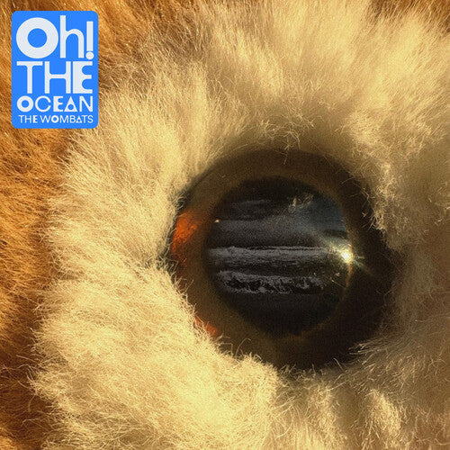 The Wombats - Oh The Ocean   [Transparent Blue] { vinyl }