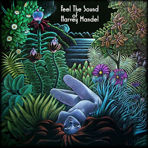 Harvey Mandel - Feel The Sound { vinyl }