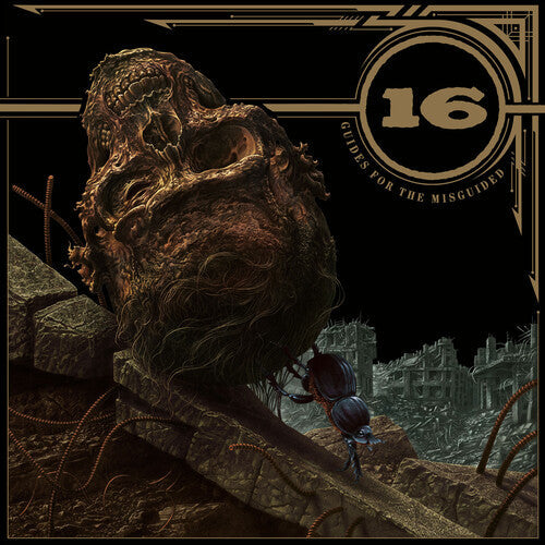 16 - Guides For The Misguided { vinyl }