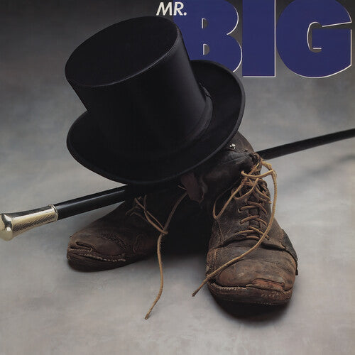 Mr Big - Mr Big { vinyl }