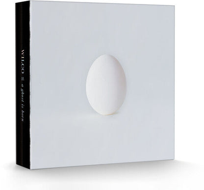 Wilco - A Ghost Is Born  [9LP Box Set] { vinyl }