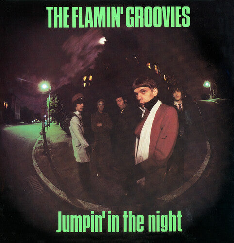 Flamin' Groovies - Jumpin' In The Night { vinyl }
