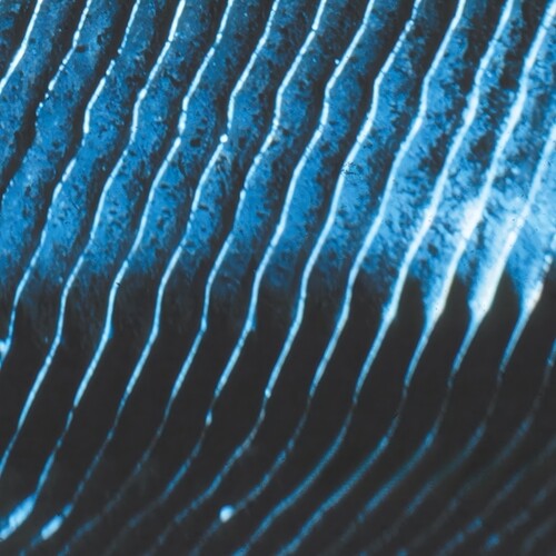 Monolake - Gravity { vinyl }