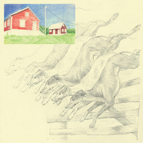 Quickly Quickly - I Heard That Noise - Green { vinyl }