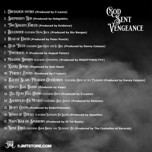 Vinnie Paz - God Sent Vengeance { vinyl }
