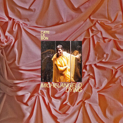 Cate Le Bon - Michelangelo Dying { vinyl }