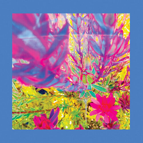 Reds Pinks & Purples - The Past is a Garden I Never Fed