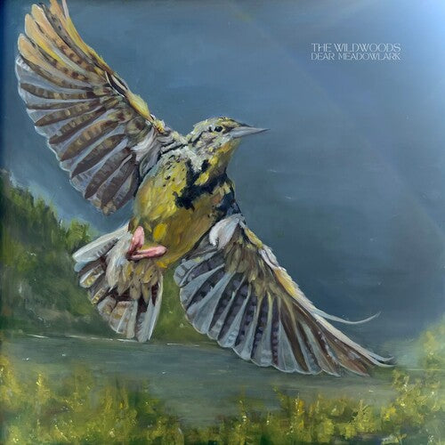 The Wildwoods - Dear Meadowlark { vinyl }