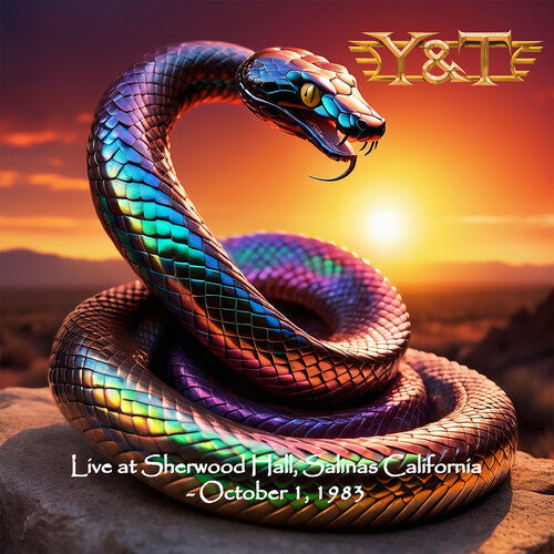 Y&T - Live at Sherwood Hall, Salinas, California - October 1, 1983 - Clear Tangerine with yellow swirl