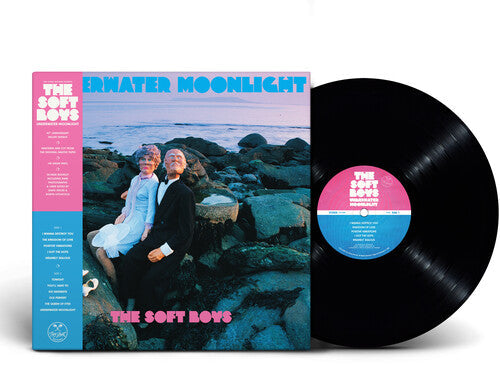 The Soft Boys - Underwater Moonlight
