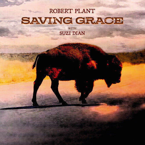 Robert Plant - Saving Grace { vinyl }