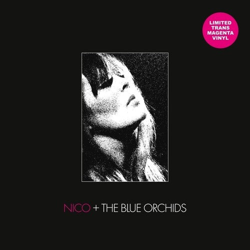 Live And In Session 1982