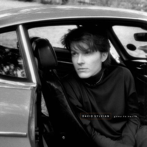 David Sylvian - Gone To Earth - White Brown Opaue Black