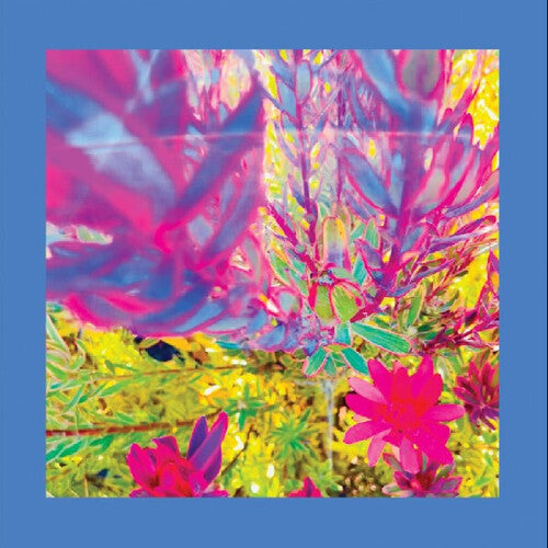 Reds Pinks & Purples - The Past is a Garden I Never Fed