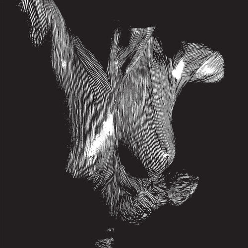 Oceansize - Self Preserved While The Bodies Float Up