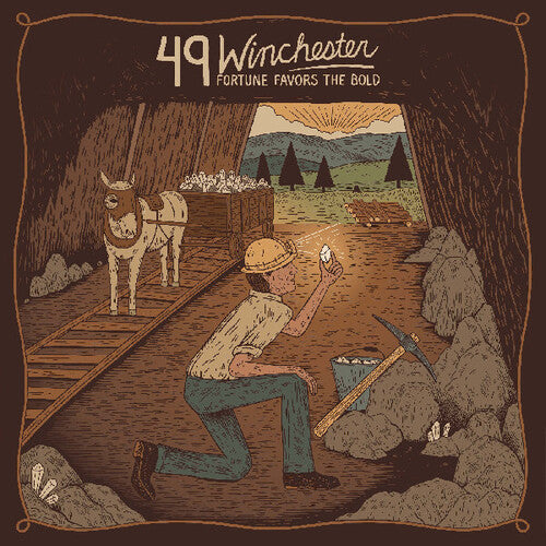 49 Winchester - Fortune Favors the Bold [Orange] { vinyl }