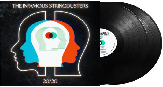 Infamous Stringdusters - 20/20 (LP)