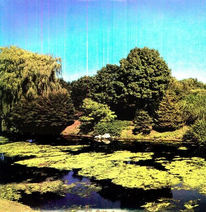 Shellac - Terraform { vinyl }