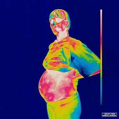 BROCKHAMPTON - iridescence [2LP] { vinyl }