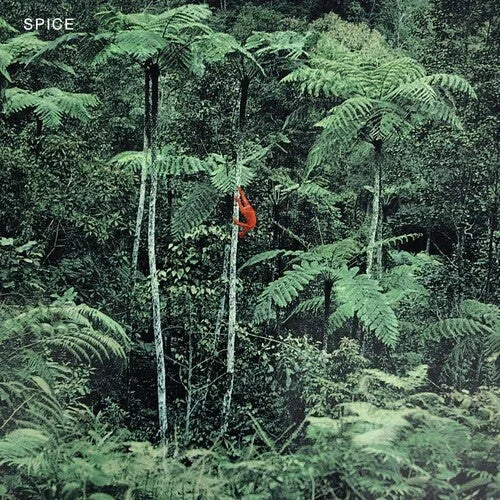 Spice - Spice - Grey { vinyl }