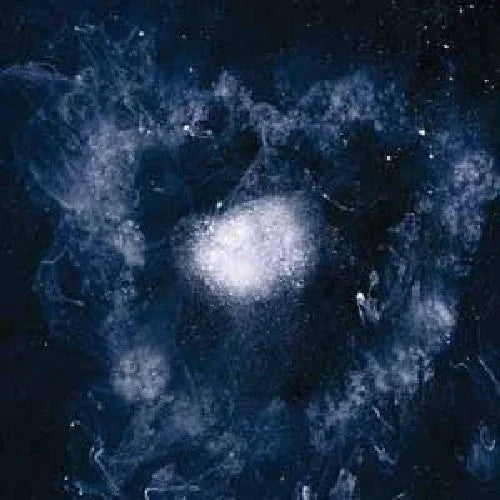 Swans - My Father Will Guide Me Up a Rope to the Sky { vinyl }