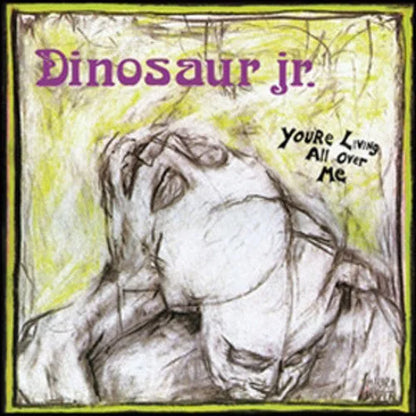Dinosaur Jr. - You're Living All Over Me { vinyl }