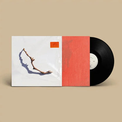 PJ Harvey - I Inside The Old Year Dying { vinyl }