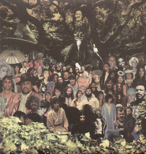 Devendra Banhart - Cripple Crow { vinyl }