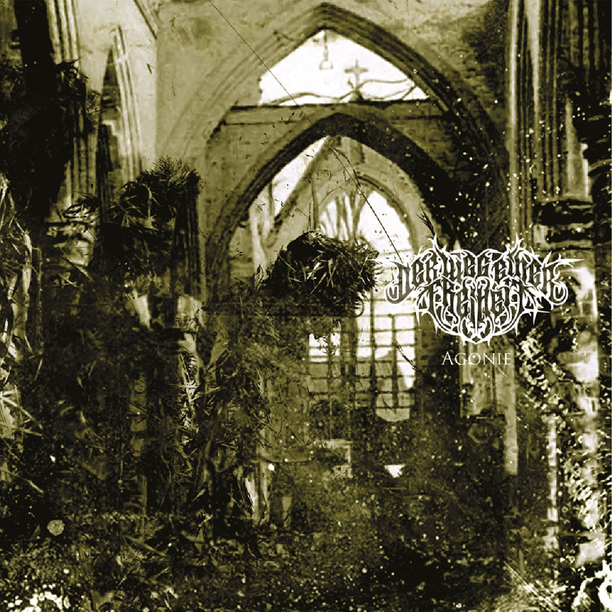 Der Weg Einer Freiheit - Agonie [CD / Vinyl] { vinyl }
