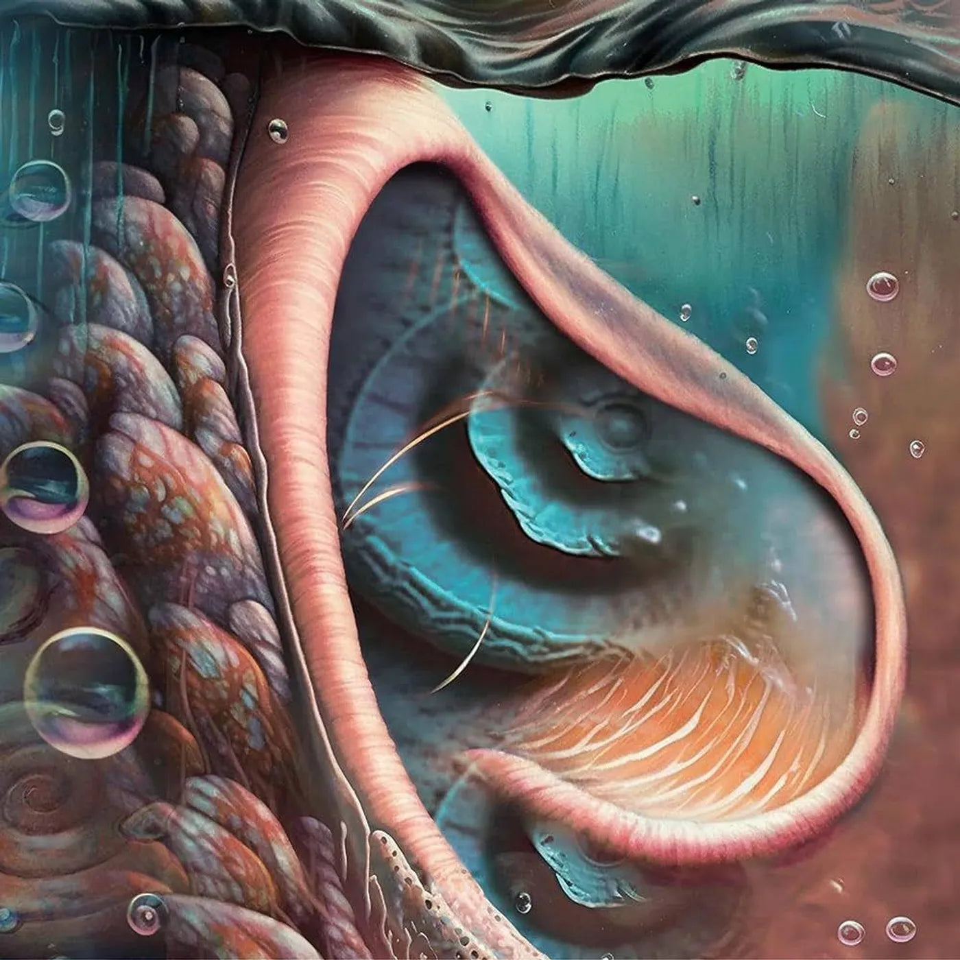 Various Artists - Meddle Reimagined: A Tribute To Pink Floyd { vinyl }