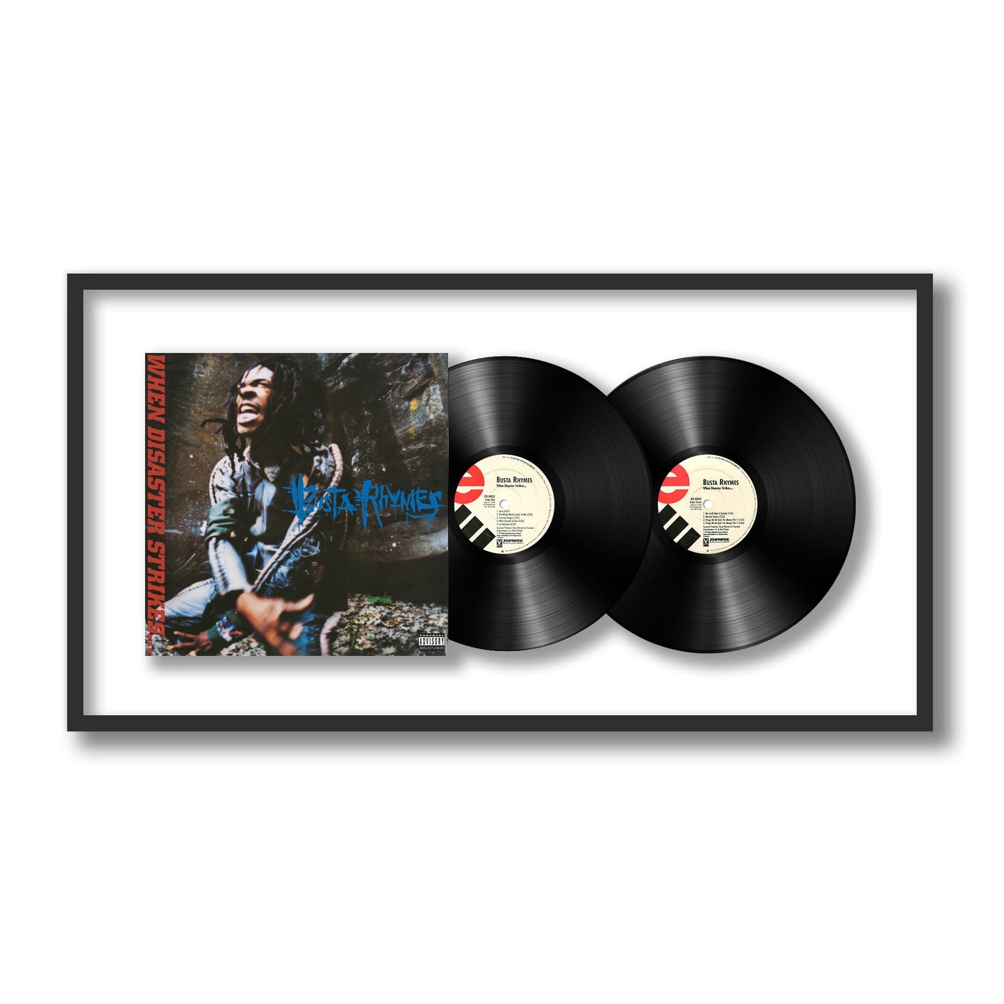 When Disaster Strikes... { vinyl }
